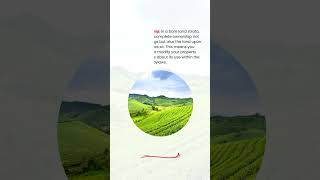 Unlocking The Concept Of Bare Land Strata In Real Estate.