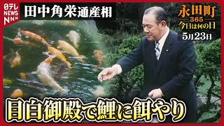 【秘蔵】鯉に餌やり・・・目白御殿内の田中角栄氏 (1972年5月23日)【永田町365～今日は何の日】