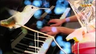 Download Lagu BRIDGE OVER TROUBLED WATER - SIMON \u0026 GARFUNKEL- Whistled by Carles Arbusé MP3