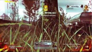 Corruption - A MW2 Montage