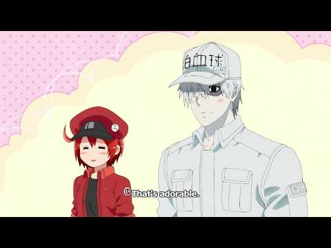 Cells at Work! Trailer 2