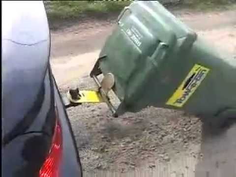 trash without a skip trash without a skip