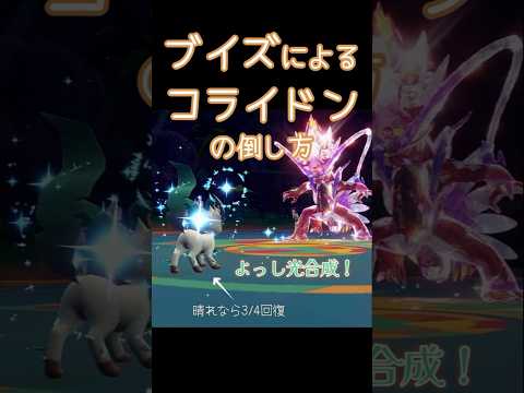 コライドンの倒し方【ブイズ統一・レギュG・ポケモンSVランクマッチ】【ブイズ旅番外編】