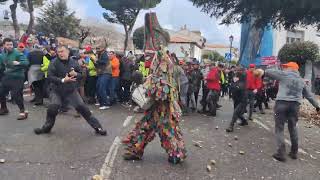 Crowd Throws Turnips During Traditional Spanish Festival