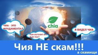 CHIA Network СКАМ стоит ли покупать и майнить XCH прогноз и обзор криптовалюты ЧИЯ Scam