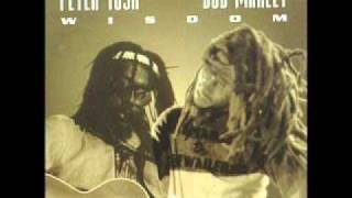 Bob Marley and Peter Tosh - Maga Dog chords