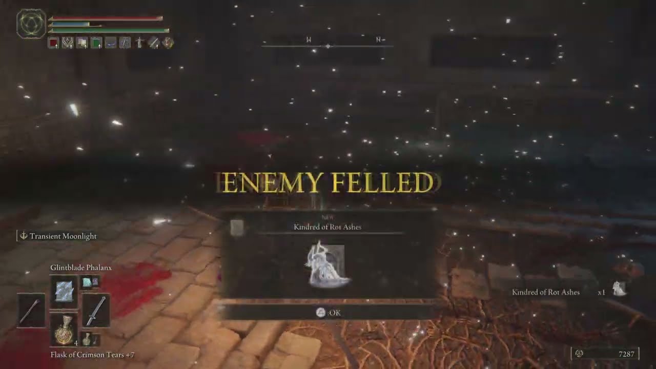 ELDEN RING - Cemetery Shade - PS5