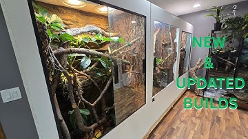 Tree Monitor House Tour  - UPDATED + NEW ENCLOSURES
