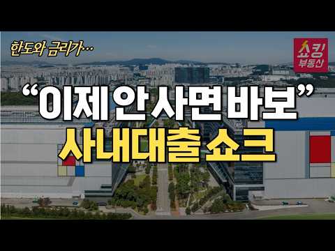"상상초월 수준의 혜택" 삼성전자 사내대출 왜 쇼크인가?