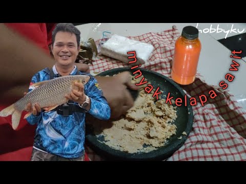 mancing ikan jelawat boleh coba umpan ini