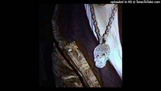 Celebrity Bones - 101Grams Wealth