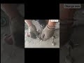 mechanic life 🦴🤔 please like subscribe 🔔💯