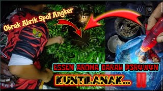 LUNASS...‼️BAU ESSEN  TERCANDU UNTUK MANCING IKAN LEMBAT/LELE AKAR || MANCING LEMBAT