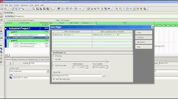 Primavera P6  Claim Digger