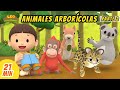 Animales Arborícolas Episodio Compilación [Parte 2/2] (Español) - Leo, El Explorador Episodio