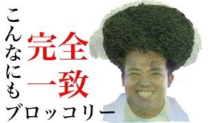 プロカメラマンなの？野菜人間じょんじについて