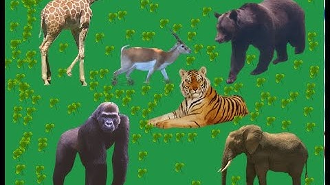 Animal and forest poster Tux paint