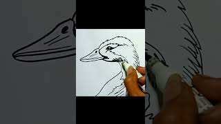 How to Draw GOOSE HEAD #shorts