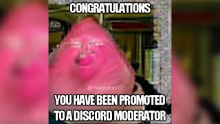 CONGRATULATIONS, YOU HAVE BEEN PROMOTED TO A DISCORD MODERATOR