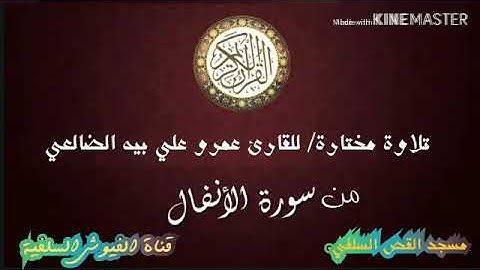 تلاوة قمة في الروعه للشيخ عمر علي بيه الضالعي