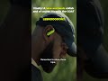 History Made: LeBron Unveils Nike x Beats! 👑🎧 @nike#beatsbydre #powerbeatspro2 @beatsbydre