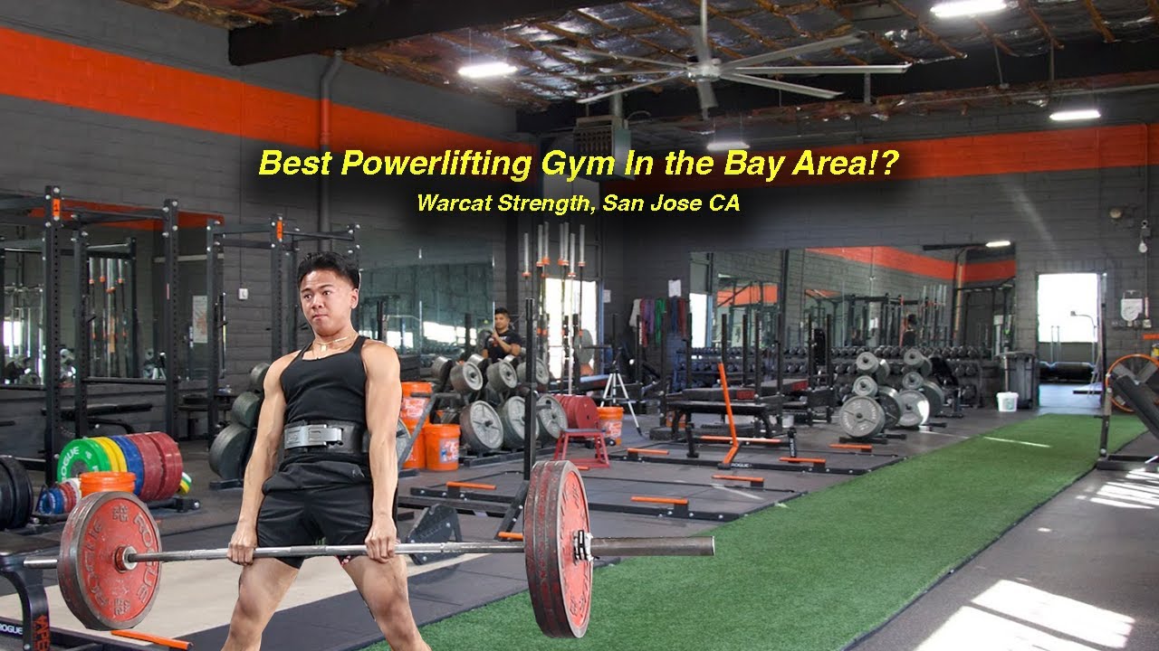 Warcat Strength best powerlifting gym in San Jose!? YouTube