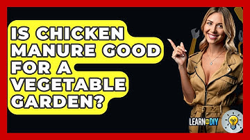 Is Chicken Manure Good For A Vegetable Garden? - LearnToDIY360.com