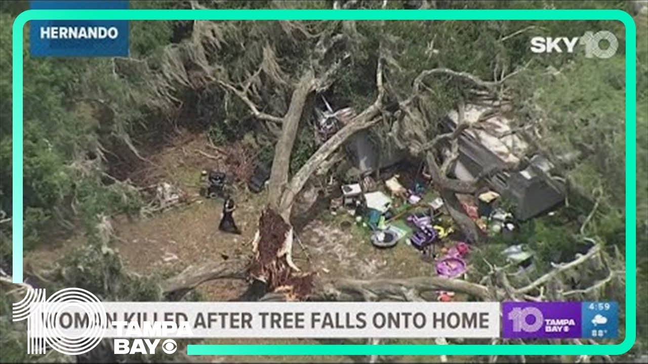 Weeki Wachee woman dies after large tree falls onto mobile home - YouTube