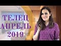 ТЕЛЕЦ. Гороскоп на АПРЕЛЬ 2019 | Алла ВИШНЕВЕЦКАЯ