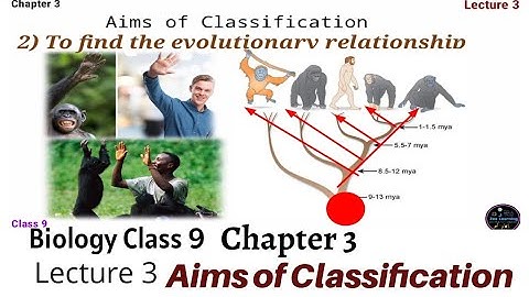 Aims of Classification | Biology Class 9 | Chapter 3 | Lecture 3