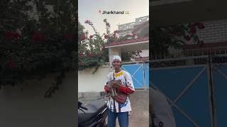 Download Lagu My Fan Cats / Cats Love 🥰 Hugs; Am HaramBa/Try Aman MP3