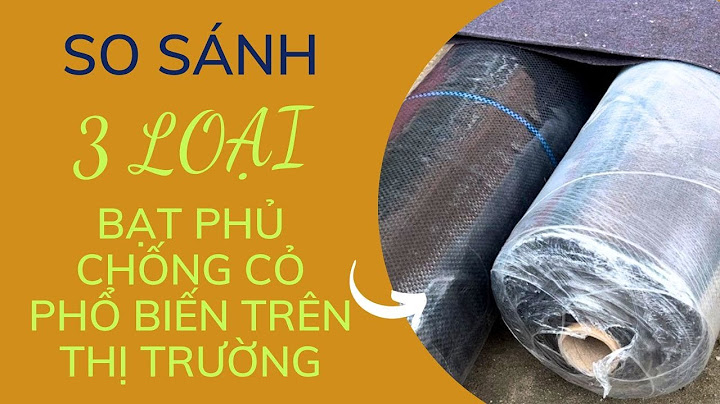 1 cây bạt có diện tích bao nhiêu năm 2024