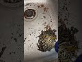 Is this the worst tank you’ve ever seen?