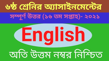 16th Week Class 6 English Assignment Solution 2021|English assignment 16th week| English 16th week