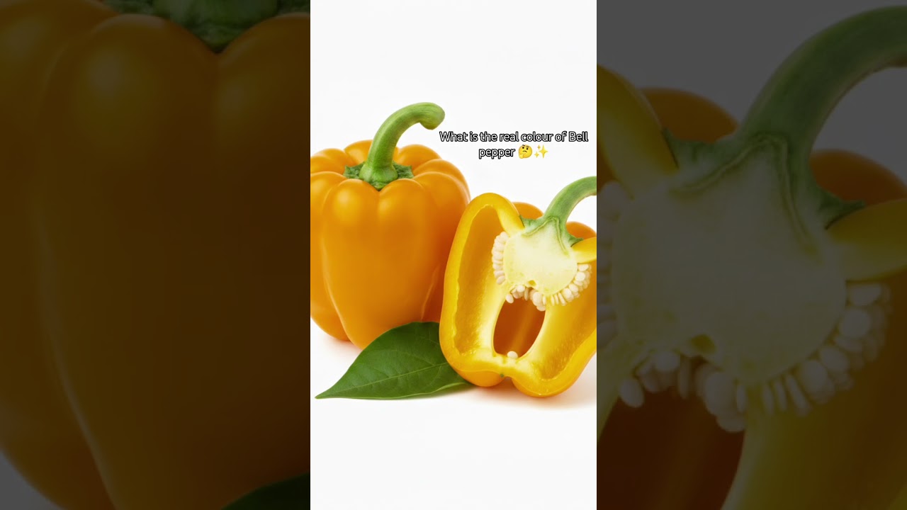 🥰batao shimla mirchi Konsa colour Kahota hai 