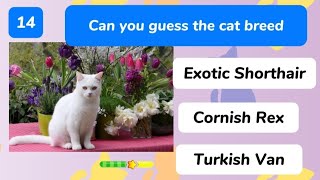 Hey CAT LOVERS . Show off your KNOWLEDGE by doing this AMAZING QUIZ