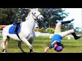 Tiktok horse failsfalls compilation