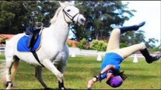 TikTok Horse Fails/Falls Compilation