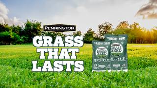 Pennington Kentucky 31 Tall Fescue Grass Seed - Guaranteed to Grow
