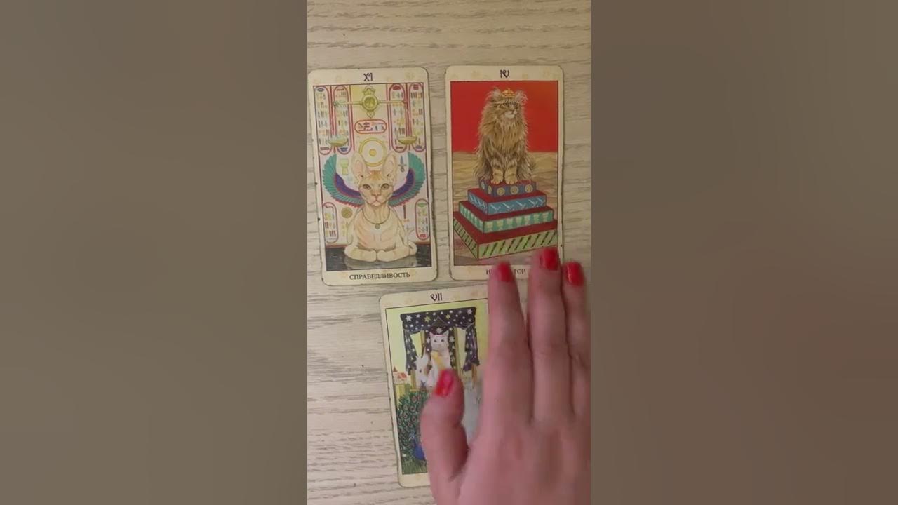 Гороскоп таро на сентябрь 2024 года овен. Гороскоп таро на сентябрь 2024 года овен. Гадание на год таро. Овен аркан в таро. Карта дня таро.