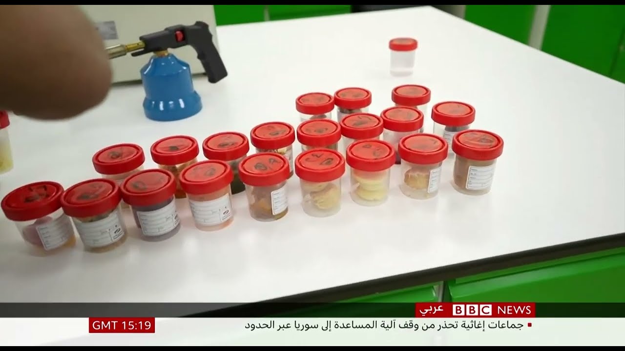 شركة الاسناد الماسي لخدمات الاعاشة ( تقرير قناة BBC )