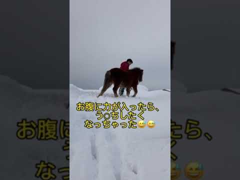 雪山のぼっちゃえ～アテレコあり