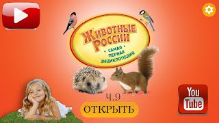 Животные России. Твоя ПЕРВАЯ энциклопедия! Часть 9