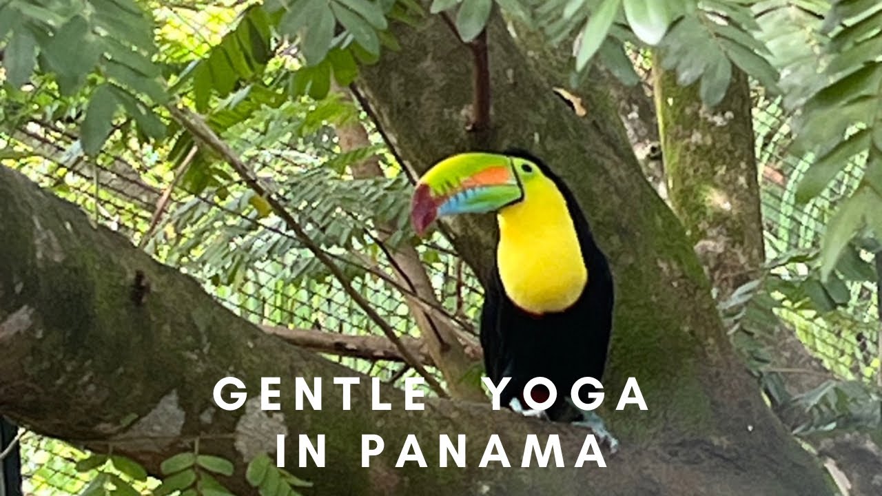 Gentle Yoga Flow - Panama Retreat