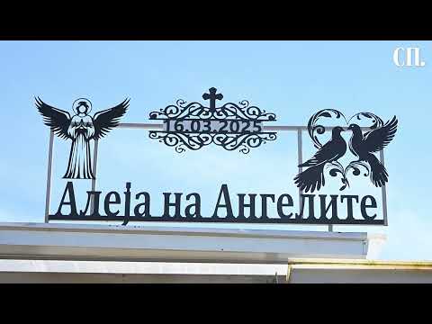 Изјава на Мита Тасева - Мајка на Стефан