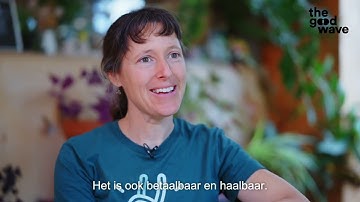 Klimplant : Regen Oogsten - The Good Wave Awards