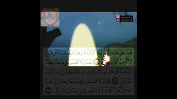 { فلما جن عليه الليل رءا كوكباً } القارئ مشاري العفاسي _ سورة الانعام 🌿💜