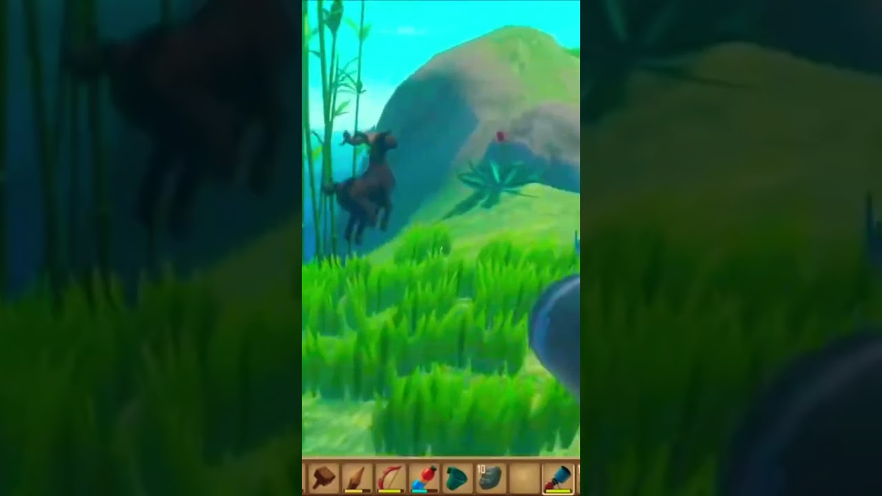 Raft- capretta presa!!!