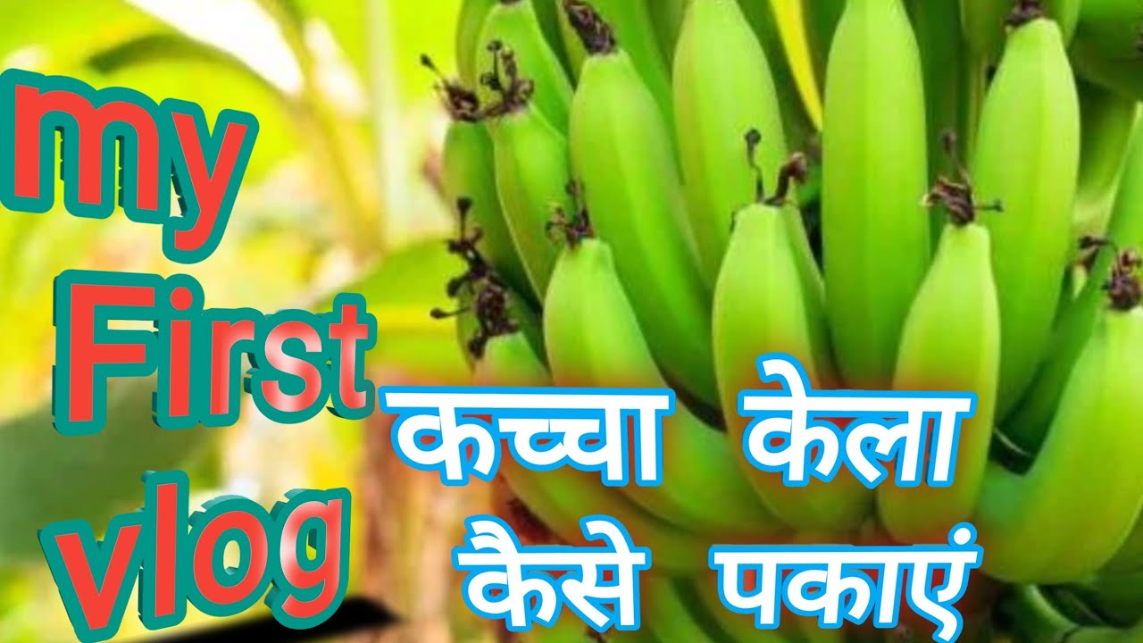 12 May 2023 Kaccha Kela Kaise pakaya Jata Hai kele ki Godam YouTube