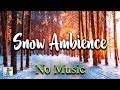 Relaxing Snowfall: COZY Winter Snow Ambience! ❄ Blizzard Storm Sounds &amp; Heavy Snow (NO MUSIC)